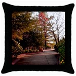 Leo Harrison St Pk  Path 2 Throw Pillow Case (Black)
