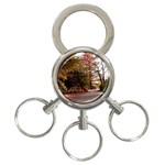 Leo Harrison St Pk  Path 2 3-Ring Key Chain