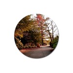 Leo Harrison St Pk  Path 2 Magnet 3  (Round)