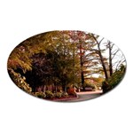 Leo Harrison St Pk  Path 2 Magnet (Oval)