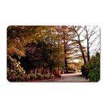 Leo Harrison St Pk  Path 2 Magnet (Rectangular)