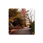 Leo Harrison St Pk  Path 2 Magnet (Square)
