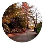 Leo Harrison St Pk  Path 2 Magnet 5  (Round)