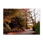 Leo Harrison St Pk  Path 2 Sticker A4 (10 pack)