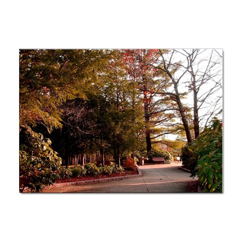 Leo Harrison St Pk  Path 2 Sticker A4 (100 pack) from ArtsNow.com Front
