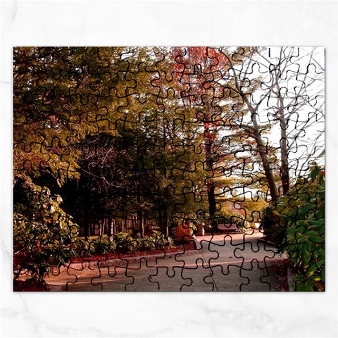 Leo Harrison St Pk  Path 2 Jigsaw Puzzle (Rectangular) from ArtsNow.com Front