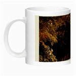 Leo Harrison St Pk  Path 2 Night Luminous Mug