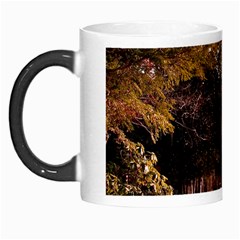 Leo Harrison St Pk  Path 2 Morph Mug from ArtsNow.com Left