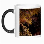 Leo Harrison St Pk  Path 2 Morph Mug