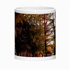 Leo Harrison St Pk  Path 2 Morph Mug from ArtsNow.com Center
