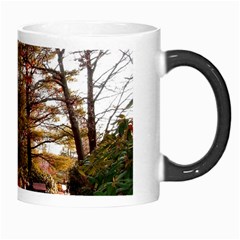 Leo Harrison St Pk  Path 2 Morph Mug from ArtsNow.com Right