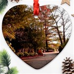 Leo Harrison St Pk  Path 2 Heart Ornament (Two Sides)