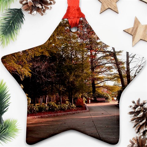 Leo Harrison St Pk  Path 2 Star Ornament (Two Sides) from ArtsNow.com Front