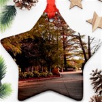 Leo Harrison St Pk  Path 2 Star Ornament (Two Sides)