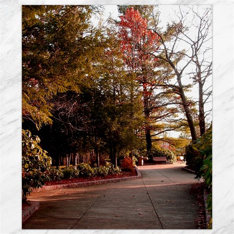 Leo Harrison St Pk  Path 2 Canvas 8  x 10  from ArtsNow.com 8.15 x9.66  Canvas - 1