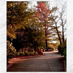 Leo Harrison St Pk  Path 2 Canvas 8  x 10 