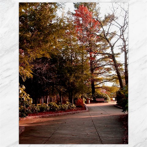 Leo Harrison St Pk  Path 2 Canvas 12  x 16  from ArtsNow.com 11.86 x15.41  Canvas - 1