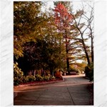 Leo Harrison St Pk  Path 2 Canvas 12  x 16 