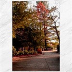 Leo Harrison St Pk  Path 2 Canvas 12  x 18 