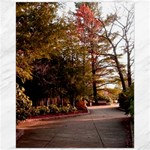 Leo Harrison St Pk  Path 2 Canvas 16  x 20 