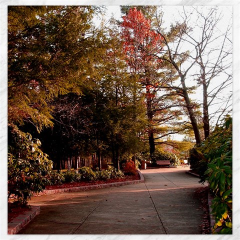 Leo Harrison St Pk  Path 2 Canvas 20  x 20  from ArtsNow.com 19 x19.27  Canvas - 1