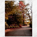 Leo Harrison St Pk  Path 2 Canvas 36  x 48 