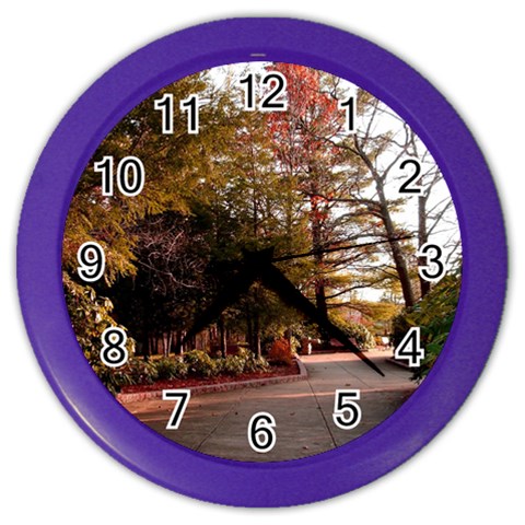 Leo Harrison St Pk  Path 2 Color Wall Clock from ArtsNow.com Front
