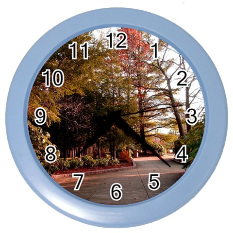Leo Harrison St Pk  Path 2 Color Wall Clock from ArtsNow.com Front