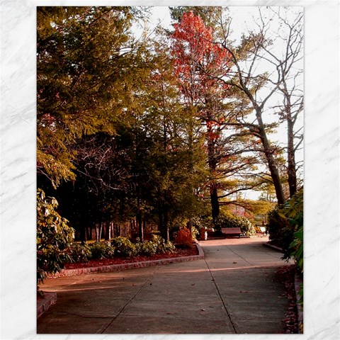 Leo Harrison St Pk  Path 2 Canvas 11  x 14  from ArtsNow.com 10.95 x13.48  Canvas - 1