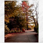 Leo Harrison St Pk  Path 2 Canvas 11  x 14 