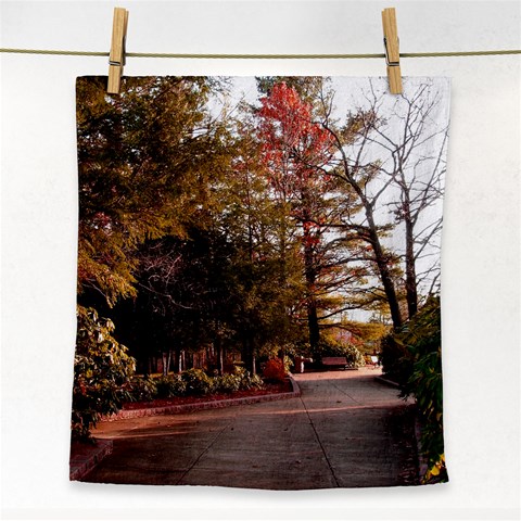 Leo Harrison St Pk  Path 2 Face Towel from ArtsNow.com Front