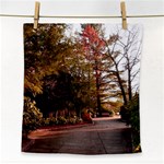 Leo Harrison St Pk  Path 2 Face Towel