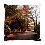 Leo Harrison St Pk  Path 2 Standard Cushion Case (One Side)