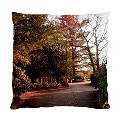 Leo Harrison St Pk  Path 2 Standard Cushion Case (Two Sides) from ArtsNow.com Back