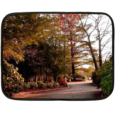 Leo Harrison St Pk  Path 2 Fleece Blanket (Mini) from ArtsNow.com 35 x27  Blanket