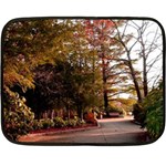 Leo Harrison St Pk  Path 2 Fleece Blanket (Mini)