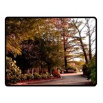 Leo Harrison St Pk  Path 2 Fleece Blanket (Small)