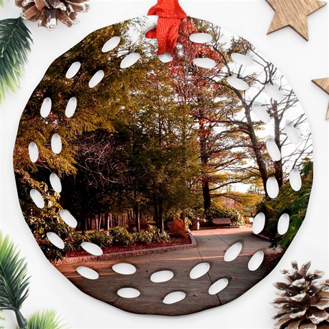 Leo Harrison St Pk  Path 2 Ornament (Round Filigree) from ArtsNow.com Front