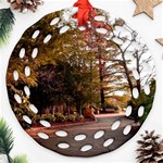 Leo Harrison St Pk  Path 2 Ornament (Round Filigree)