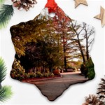 Leo Harrison St Pk  Path 2 Ornament (Snowflake)