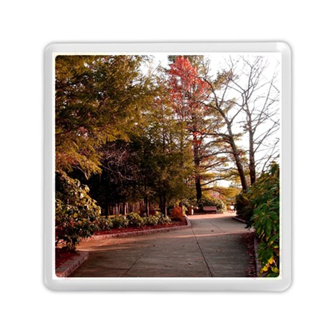 Leo Harrison St Pk  Path 2 Memory Card Reader (Square) from ArtsNow.com Front