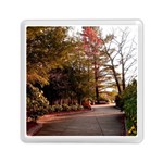 Leo Harrison St Pk  Path 2 Memory Card Reader (Square)