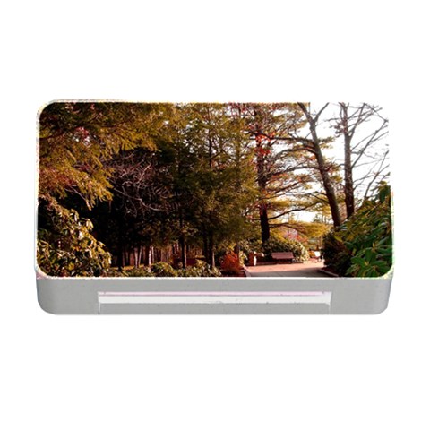 Leo Harrison St Pk  Path 2 Memory Card Reader with CF from ArtsNow.com Front