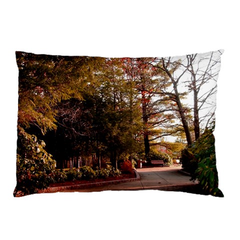 Leo Harrison St Pk  Path 2 Pillow Case (Two Sides) from ArtsNow.com Front