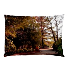 Leo Harrison St Pk  Path 2 Pillow Case (Two Sides) from ArtsNow.com Back
