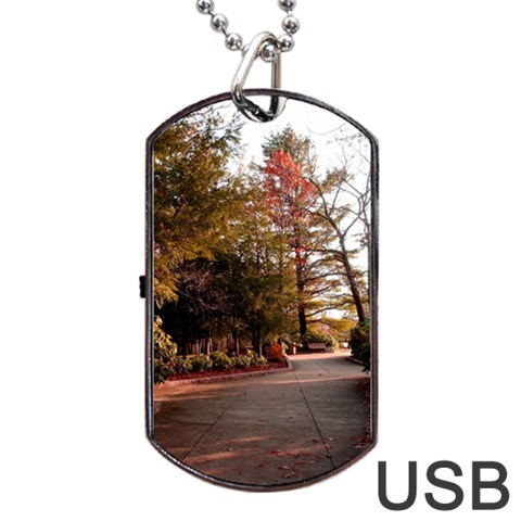 Leo Harrison St Pk  Path 2 Dog Tag USB Flash (One Side) from ArtsNow.com Front