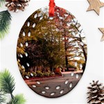 Leo Harrison St Pk  Path 2 Oval Filigree Ornament (Two Sides)