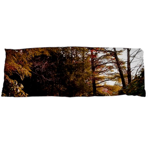 Leo Harrison St Pk  Path 2 Body Pillow Case (Dakimakura) from ArtsNow.com Body Pillow Case