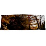 Leo Harrison St Pk  Path 2 Body Pillow Case Dakimakura (Two Sides)