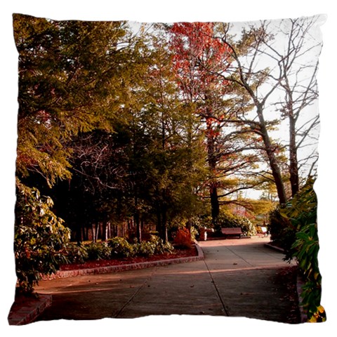 Leo Harrison St Pk  Path 2 Large Cushion Case (Two Sides) from ArtsNow.com Front